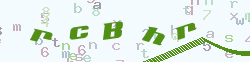验证码